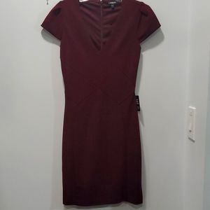 Express Burgundy Dress